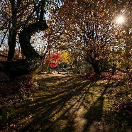 Ca Delle Glicini بيت للعطل *